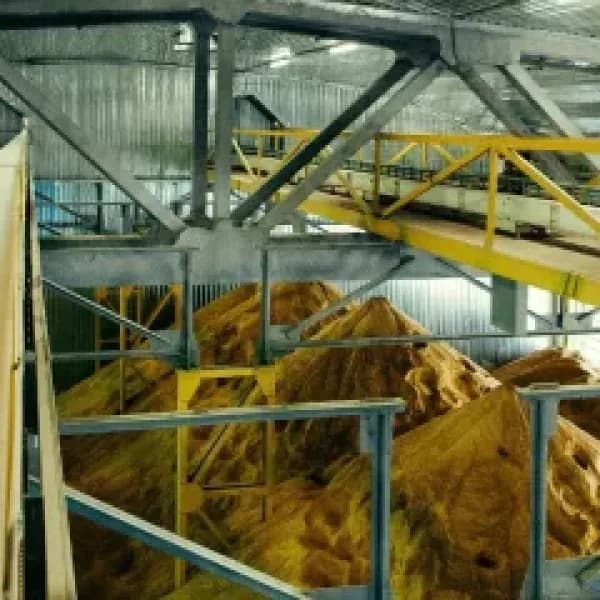 Соняшникова олія